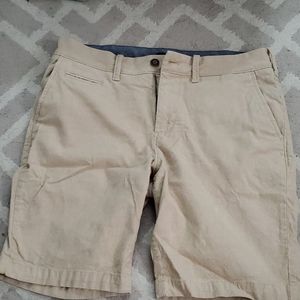 Express stretch slim shorts